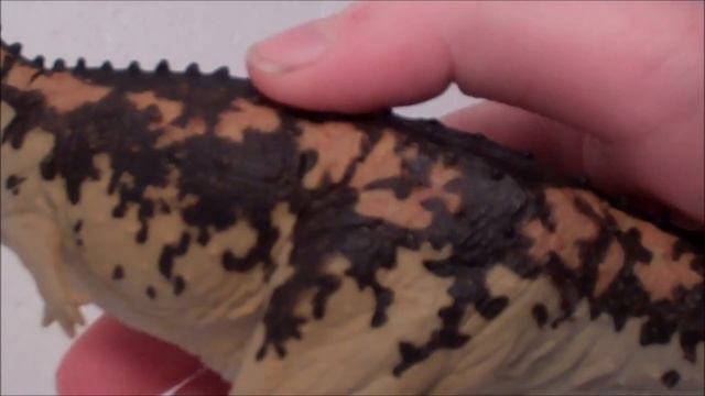 Dino-Reviews: Carnegie Carnotaurus (2011) By Safari LTD.