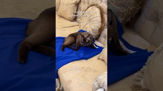 Доброе, позитивное 🎄 Легкой нам недели) У кого также? 😍 смотреть онлайн