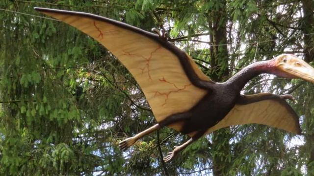 Nature Explorers Prehistoric - Pterosaurs смотреть онлайн