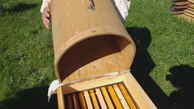 Как быстро пересадить рой из роевни в улей!!!