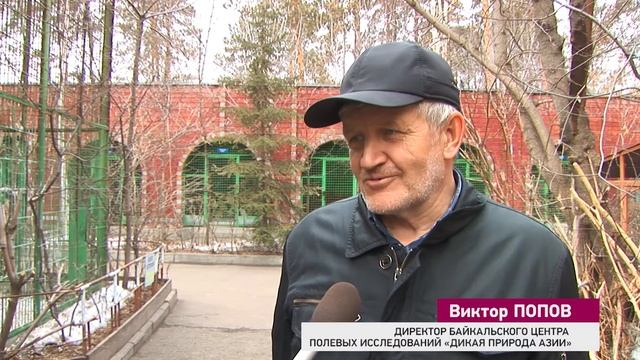 Покормите птиц! смотреть онлайн