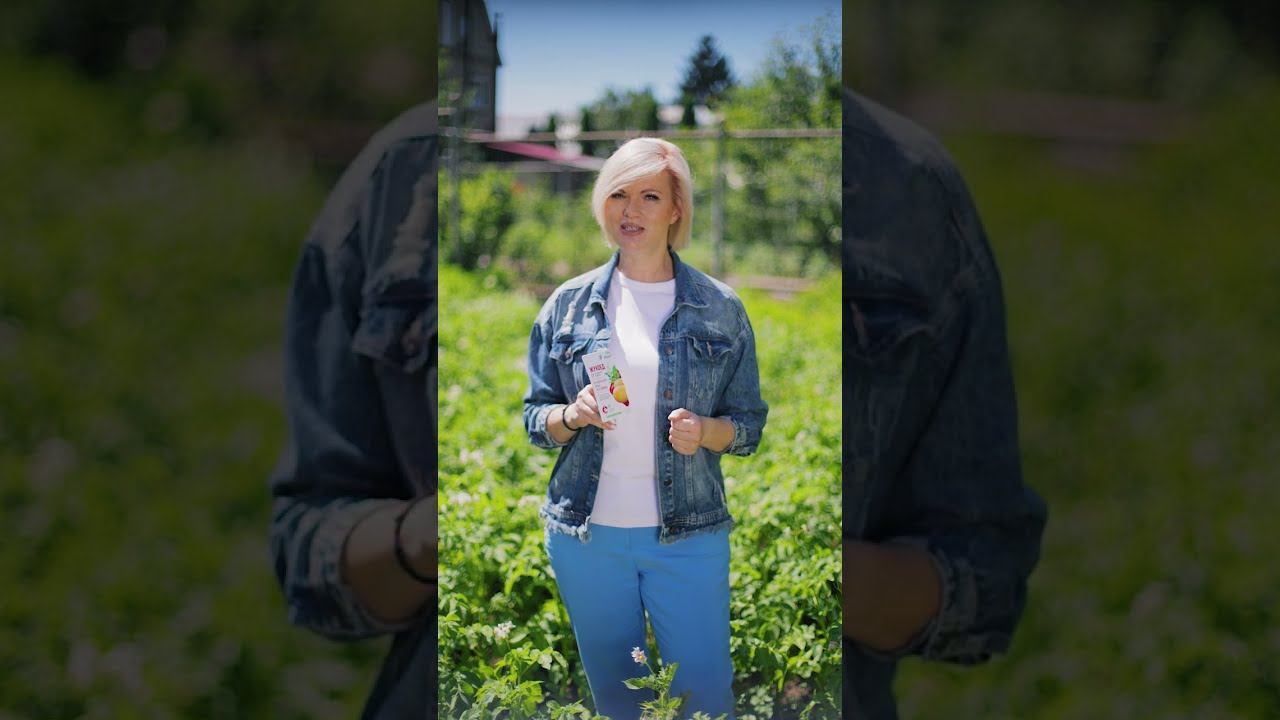 Избавляемся от колорадского жука с помощью препарата Жукоед смотреть онлайн