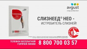 Слизнеед НЕО - истребитель слизней.