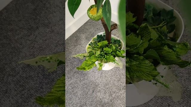 К Новому🎄году...готовы🎉 смотреть онлайн