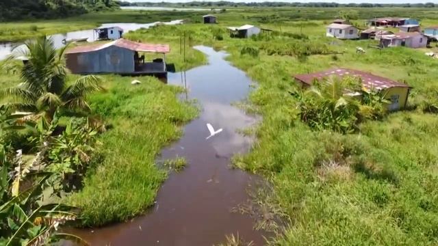 In Venezuela, a village on stilts slowly succumbs to mud | AFP смотреть онлайн