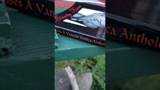 vampire erotica book next to church? #wtf смотреть онлайн