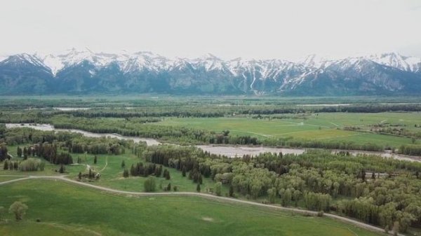 В полёте | In flight