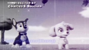 🌪Гонщик и Скай🌪(Тонем)~Для Елены Воропаевой~🌪Chase x Skye🌪