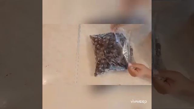 Момо-жемиштерди кышка кантип сактайбыз!!!!Заморозка на зиму!!!! смотреть онлайн