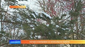 Погода в Мордовии на ближайшую неделю