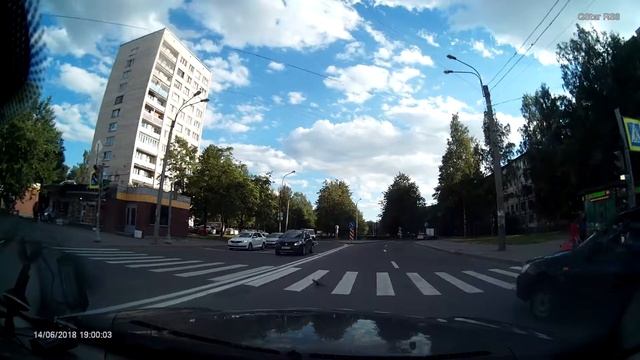 Даже голуби знают ПДД :) смотреть онлайн