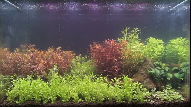 mn-tech.pl 50. Aquamaniac Mikołów - testy belki power led смотреть онлайн