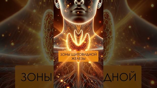 Морщины теперь в ПРОШЛОМ! #эфирныемасла #массаж #шея смотреть онлайн