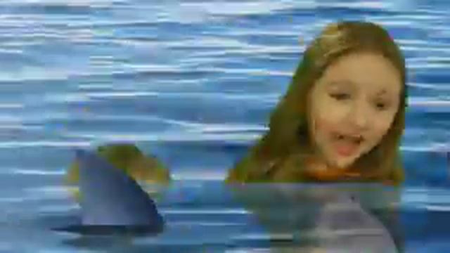Shark chases Mira and Van смотреть онлайн