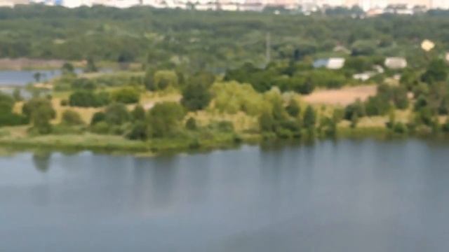 Ласточки слепили гнездо в панельном доме на берегу Чижовского водохранилища смотреть онлайн