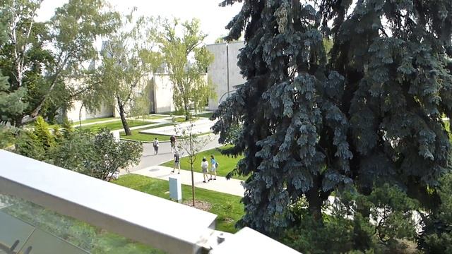 Взбираясь на петлю Мёбиуса. смотреть онлайн