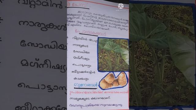 പോഷൻ അഭിയാൻ 2021 അതിനോടനുബന്ധിച്ച് ഓൺലൈൻ ക്ലാസ് അസംബ്ലിയിൽ നൽകിയ ചെറിയൊരു സന്ദേശം