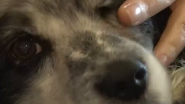 Программа "Мой город" от 8.04.2016 смотреть онлайн