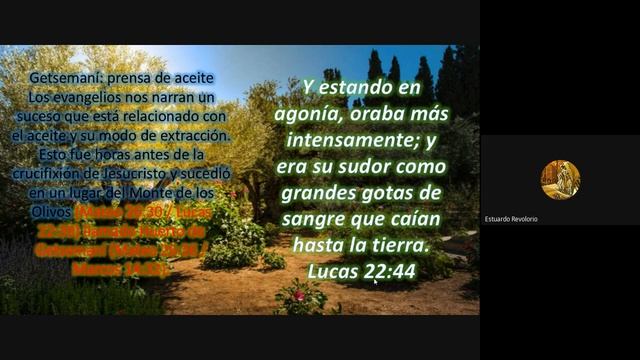 LIBRO DE ESTER 2:12 PERFUMES AROMÁTICOS EN RELACION CON RUT 3:3 смотреть онлайн