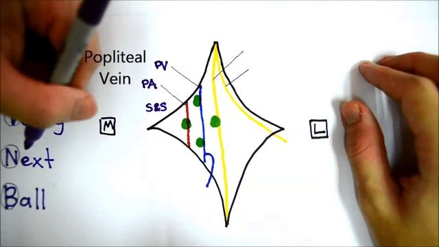 Popliteal Fossa смотреть онлайн
