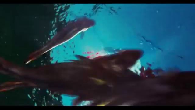 Piranha 3DD