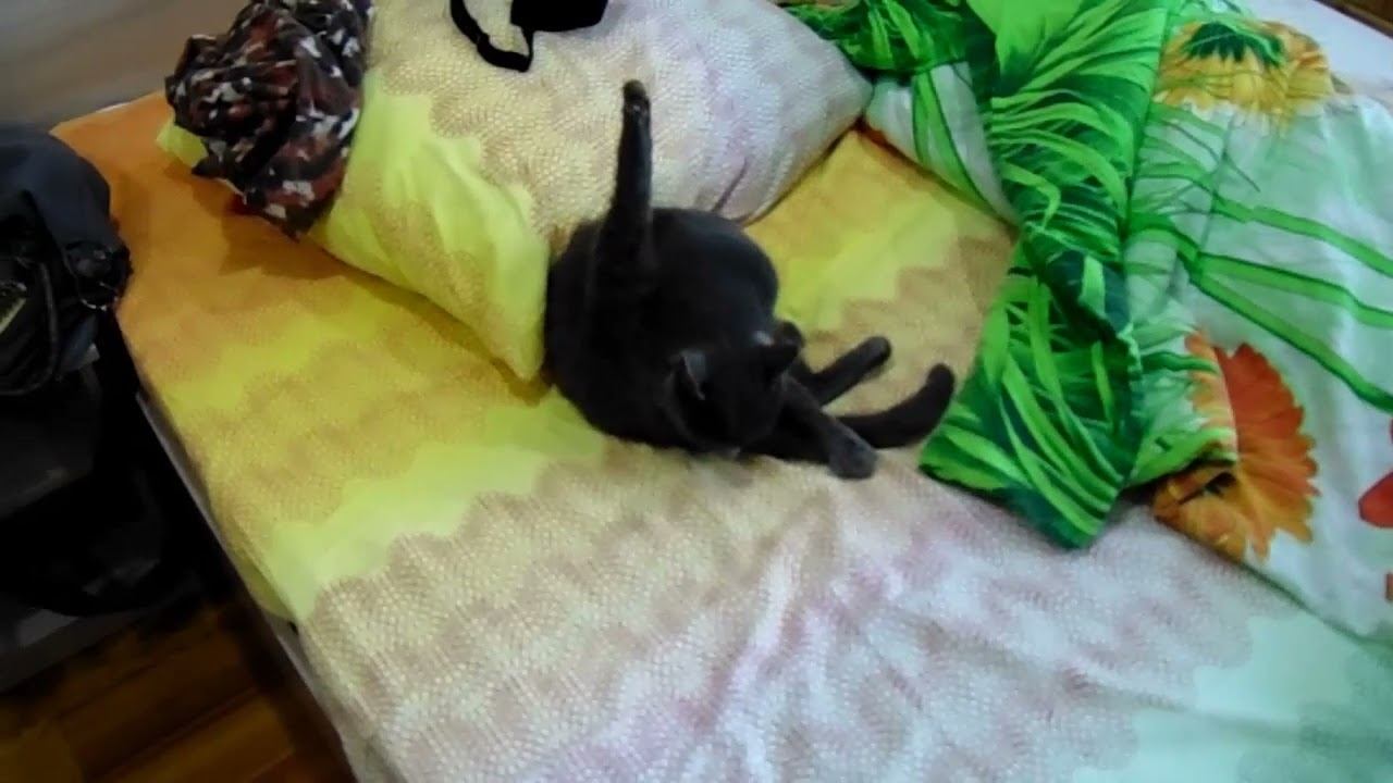 Уехали. Семь тысяч километров на ВАЗ-2107 смотреть онлайн