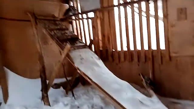 Долгожданный переезд сычей на улицу. смотреть онлайн