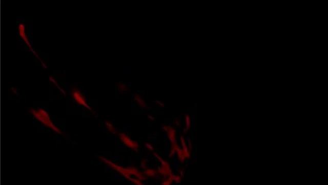 ミドリカ・コメディー・ビザールショー All Death [01] смотреть онлайн