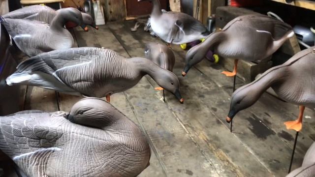 Чучела гуменника от фирмы NorthWay