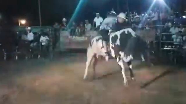 Coyote de villa gro vs el dalmata rancho la esmeralda смотреть онлайн