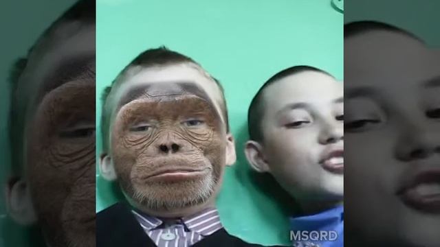 Обезьяны живут среди нас( также читайте в низу) смотреть онлайн