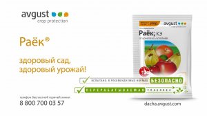 Раёк от болезней садовых и овощных культур. Инструкция и особенности применения