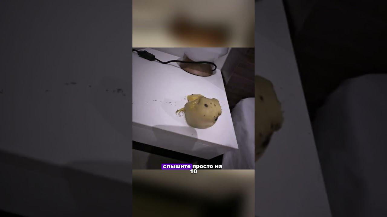 ВОТ ОНИ ВОРЫ