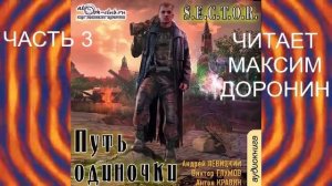 01.03 Андрей Левицкий «S.E.C.T.O.R.» (книга 1) "Путь одиночки" (часть 3)