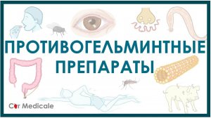 Противоглистные/противогельминтные средства - немного о паразитах, механизм действия, побочка