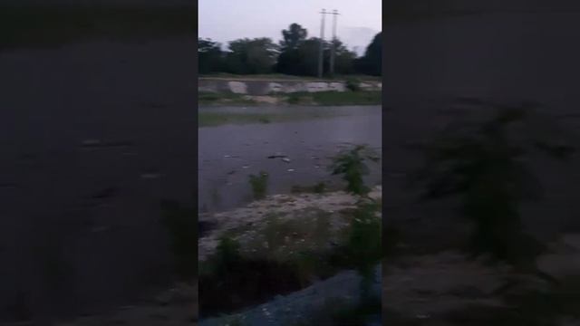 Мусор в реке Подкумок смотреть онлайн