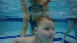 Маленький дельфинчик