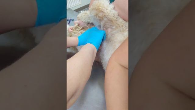 Urinary catheter смотреть онлайн