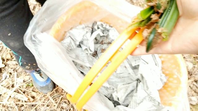 春の山菜こごみ採り ２０２１年５月１日 北海道釧路市 смотреть онлайн