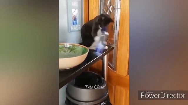 Funniest Moments Caught on Camera!" Funny Fail Compilation смотреть онлайн