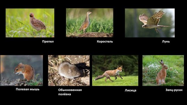 Биология 5 класс (Пасечник 2023 ) аудио Параграф 23 