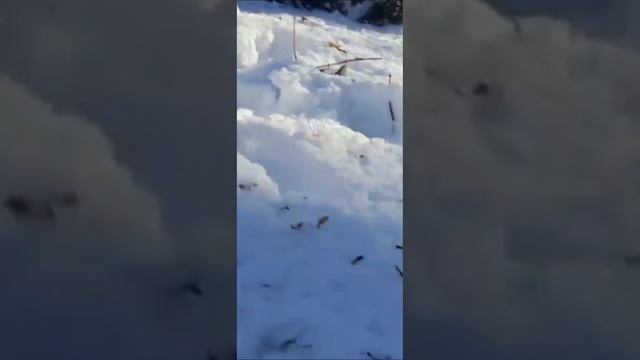 Лада 4х4 Нива смотреть онлайн