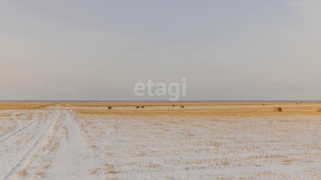 видео6 смотреть онлайн