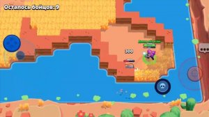 играю в бравэл стас