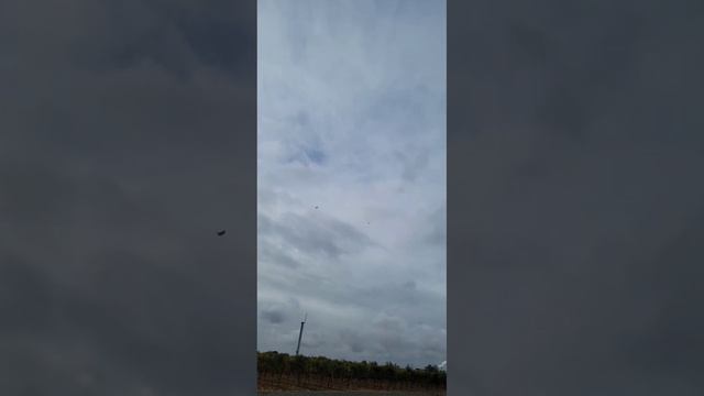 Falcon chasing Rc Airplane!!! смотреть онлайн