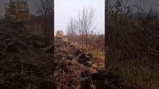Ввод залежных земель , в соседнем селе у знакомого фермера. Класика)! смотреть онлайн