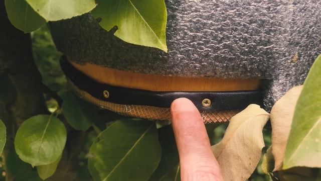 Роевня для пчел.  Показываю и рассказываю. Пасека с нуля