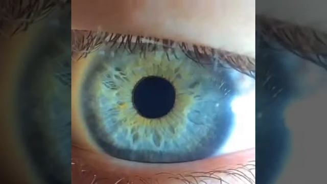 видео в Инстаграмм Instagram с музыкой .Blue green eye.Глаз смотреть онлайн
