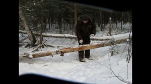 Зимний лес и мы.