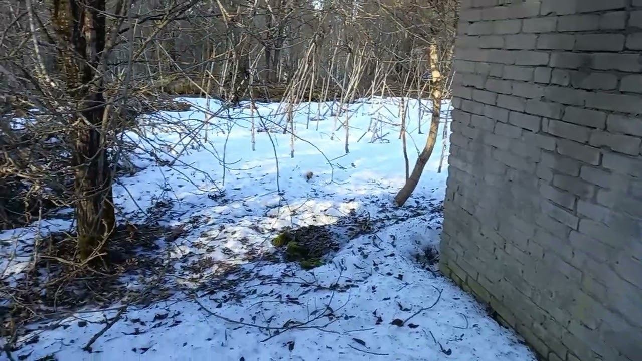 Руины смотреть онлайн